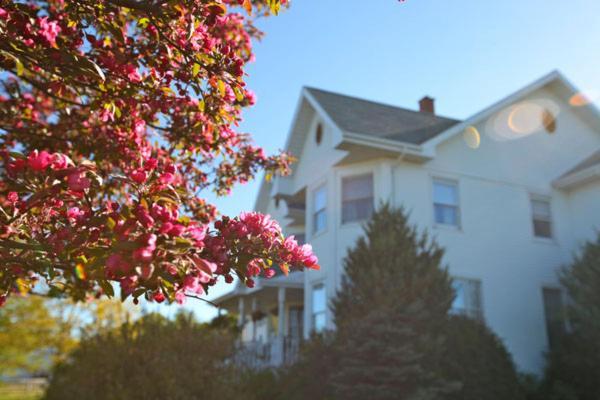 Twin Peaks B&B Mindemoya Kültér fotó